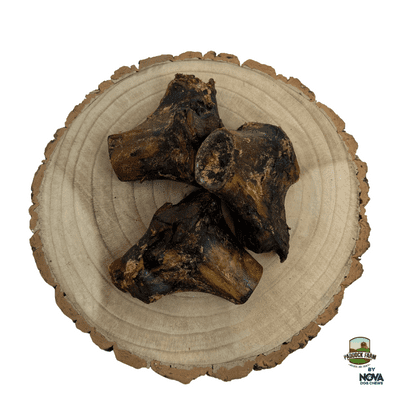 New...Large Ostrich Knuckle – Hypoallergenic & Long-Lasting