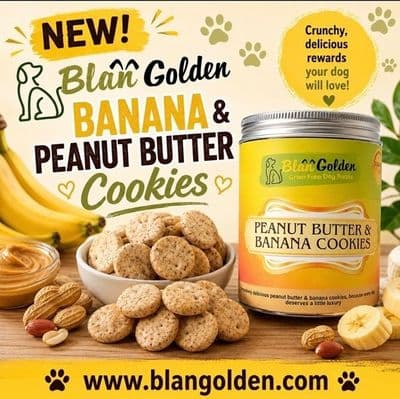 NEW...Luxury Peanut Butter & Banana Cookies