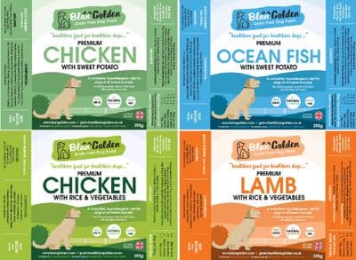 Premium Wet Tray 4 Box Offers (40 trays)