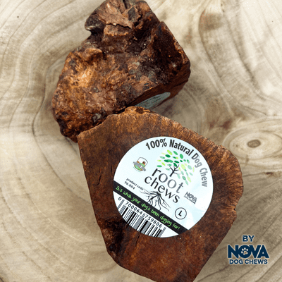 Root Dog Chew Large 500-750g - NOVA 100% Natural Briar Wood Dental Chew Treat