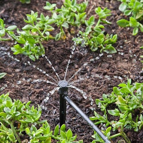 360 degree Bubbler with spike