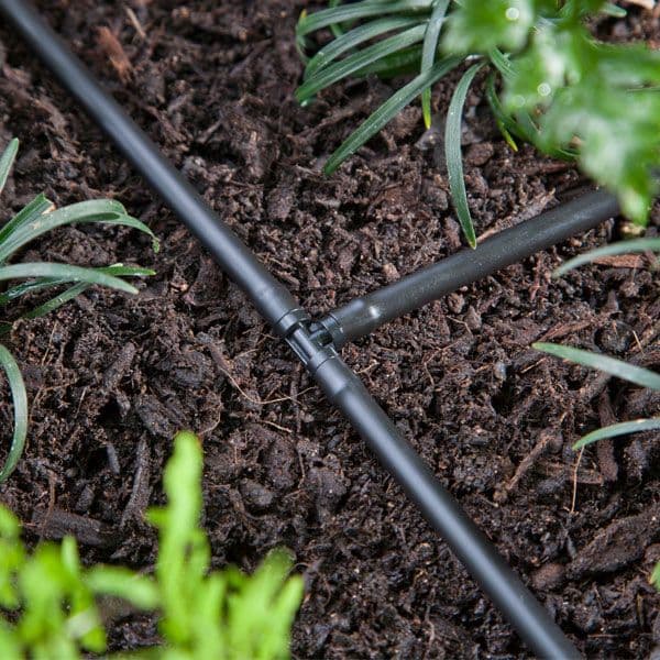 6mm Double Barbed Tee