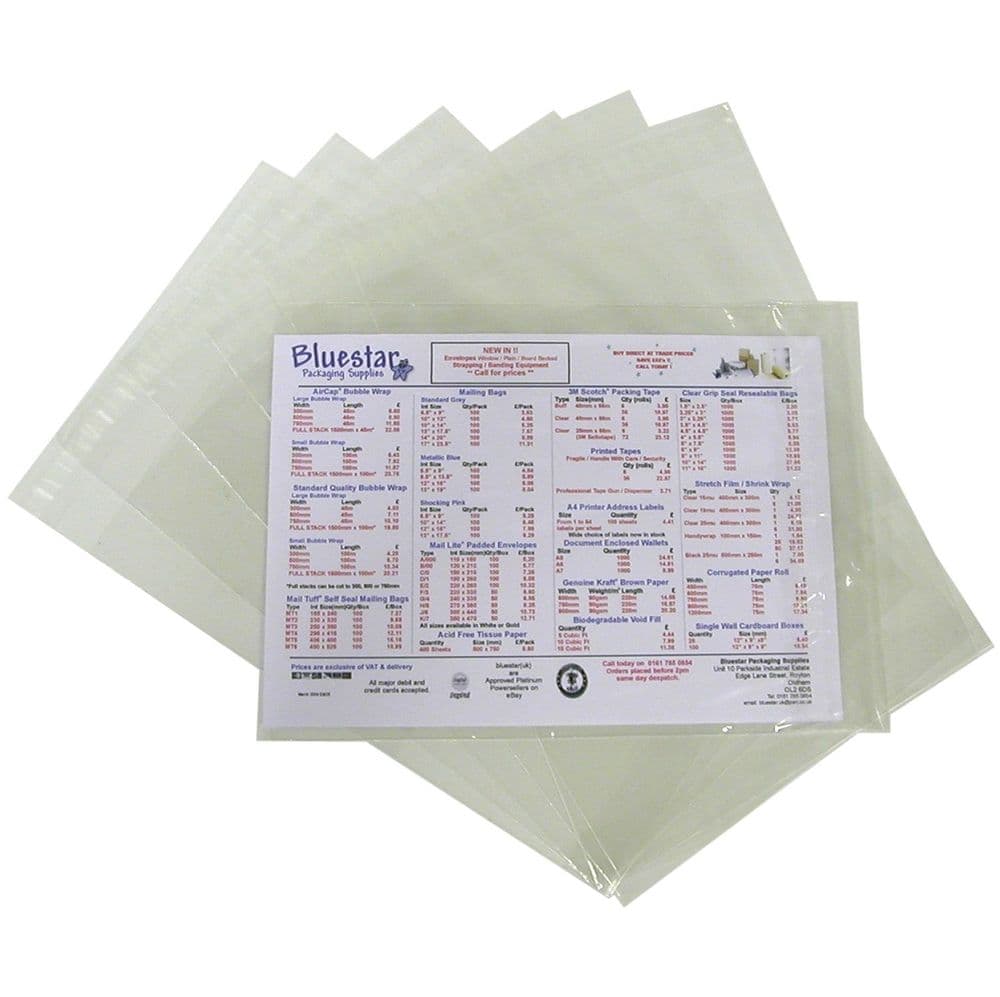 Clear Mailing Bags 10" x 13" (255mm x 340mm) - Pack of 100