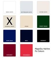 MagicEzy Hairline Fix - Colours