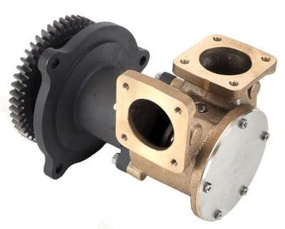Salt Water Pumps