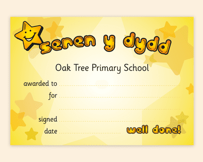Welsh Star of the Day (x 50) – Primary School Award Certificate
