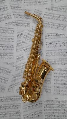 Artemis Alto Saxophone Rental Return