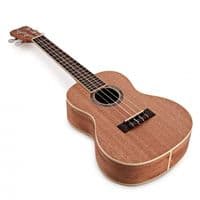 Cordoba 15CM Concert Ukulele
