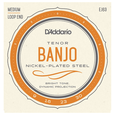 D'Addario EJ63 Tenor Banjo Strings