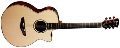 Faith HiGLoss Venus FVHG3, Rosewood Back & Sides