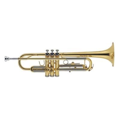 J. Michael Bb trumpet outfit