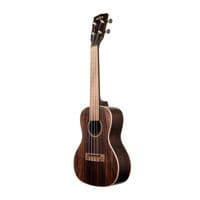 Kala KA-EBY-C Striped Ebony Concert Ukulele