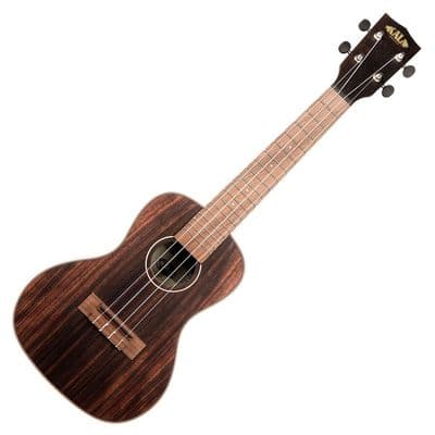 Kala KA-EBY-C Striped Ebony Concert Ukulele