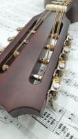 Ozark 2036 Tenor Mandola