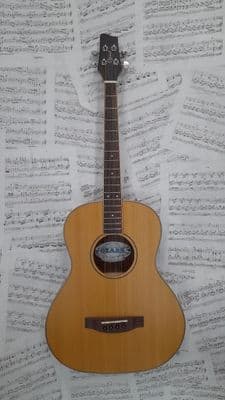 Ozark 3372 Tenor Guitar