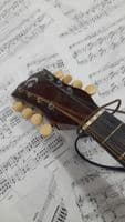 Pre-owned 1898 J. G. Schroeder 121 Mandolin, Roundback
