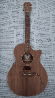 Pre-owned Cole Clark AN2EC-BLBL