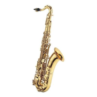 Rental/Return J. Michael 4463 Tenor Sax Outfit