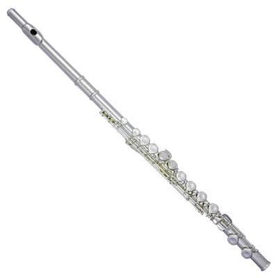 Trevor James TJ10X  3041EAW Flute