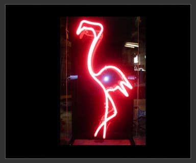 Pink Flamingo Neon Sign