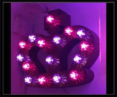 Crown Bulb Sign 2
