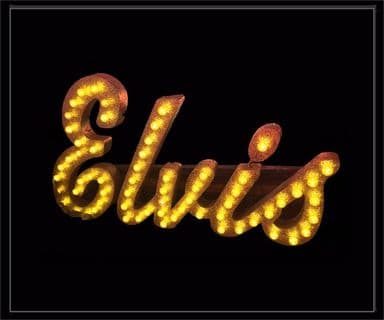 Elvis Bulb Sign