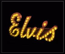 Elvis Bulb Sign