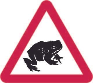 Frogs