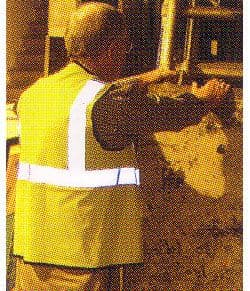 Hi-Vis Vests