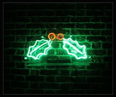 Holly Neon Sign