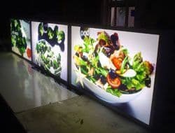 Lightbox With Duratran