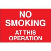 No Smoking safety sign - No Smoking at This 009