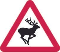 Wild Animals
