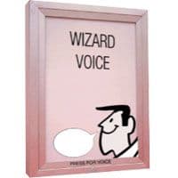 Wizard Voice - Illuminated