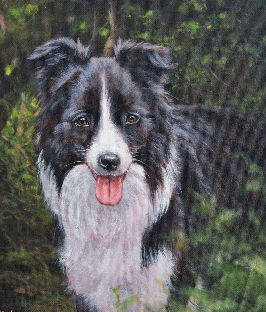 Splendid John Silver Original Acrylic Painting Of A Border Collie Dog