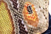 BNWT GALLIANO Yellow Python Printed L/S Cotton Poplin Shirt Ita48/Uk38/MEDIUM