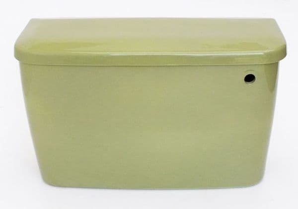 Avocado Toilet Cistern Bottom Inlet (BIBO)