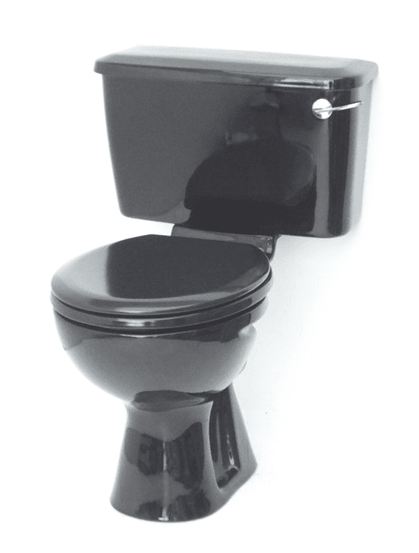 Black toilet pan and cistern close-coupled