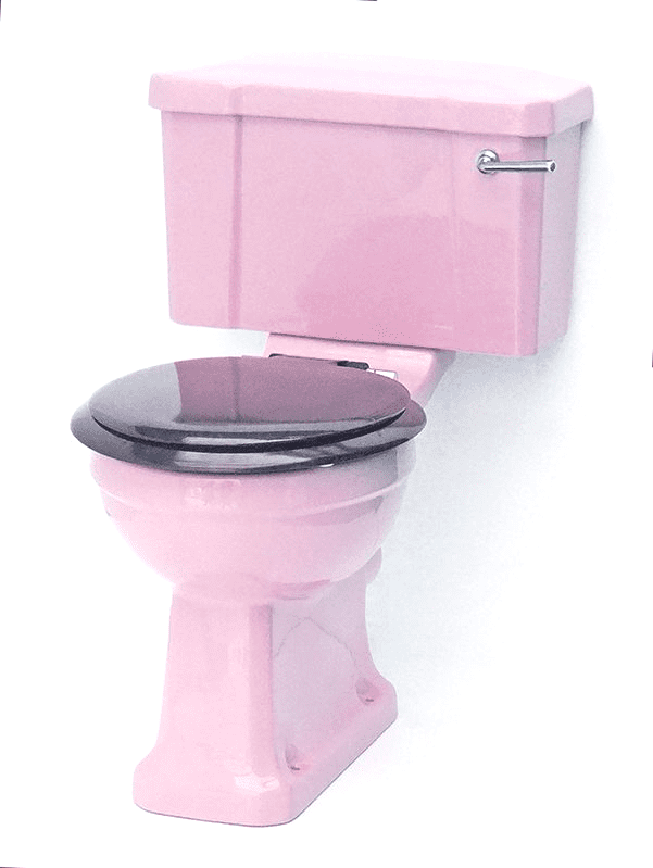 Flamingo Pink Edwardian/Art Deco Toilet Pan and Cistern Close-Coupled