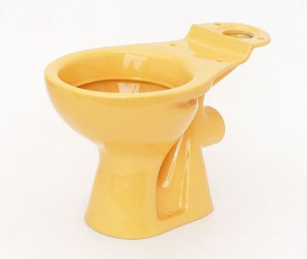 Harvest Gold Special Colour Toilet Pan (WC) Close-Coupled
