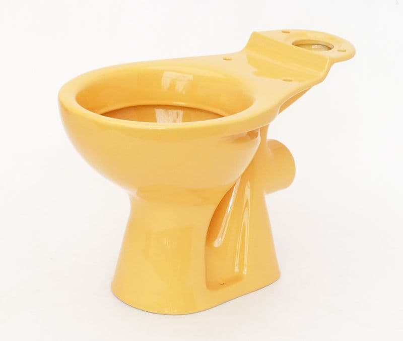 Harvest Gold Special Colour Toilet Pan (WC) Close-Coupled