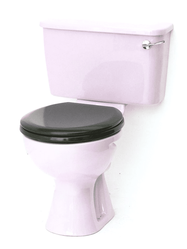 Lilac/Orchid Toilet Pan and Cistern Close-Coupled