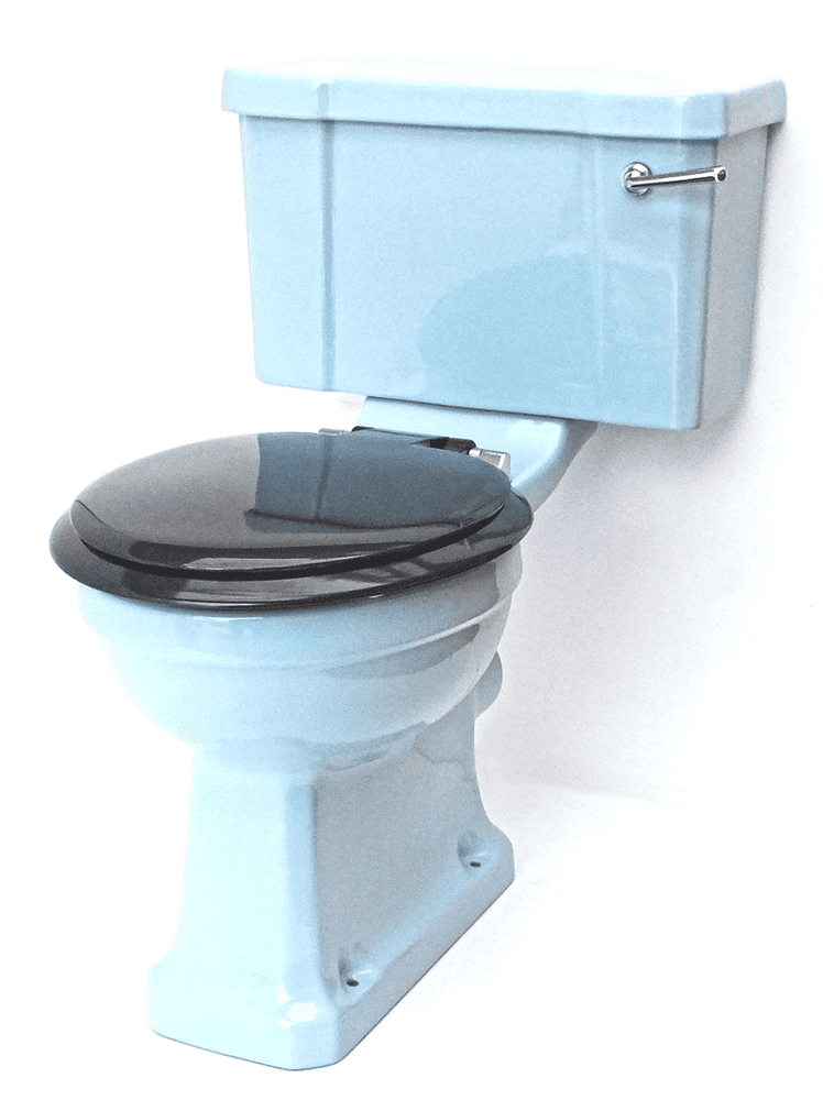 Armitage Blue Edwardian/Art Deco Toilet Pan and Cistern Close-Coupled