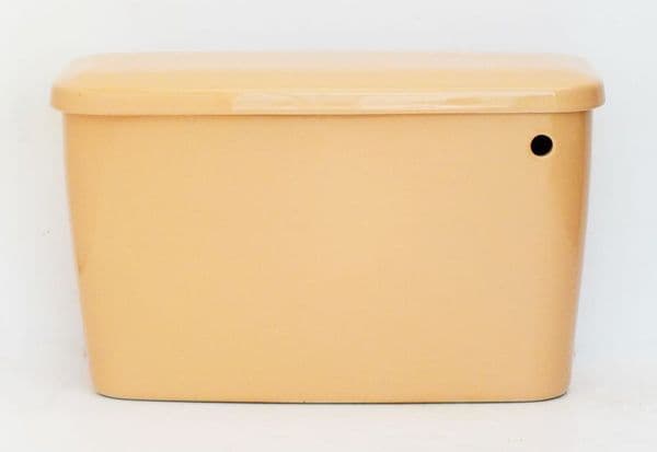 Sun King Special Colour Toilet Cistern Bottom Inlet (BIBO)