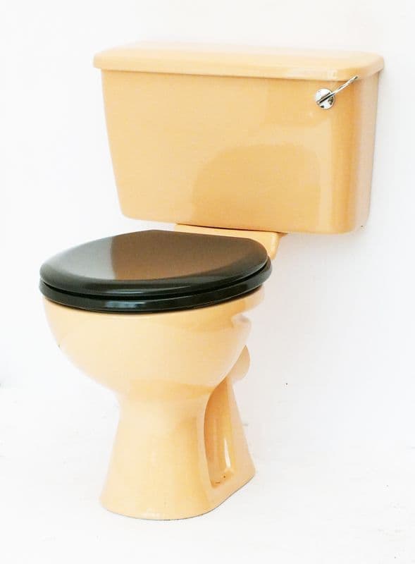 Sun King Toilet Pan and Cistern Close-Coupled