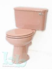 pink toilet
