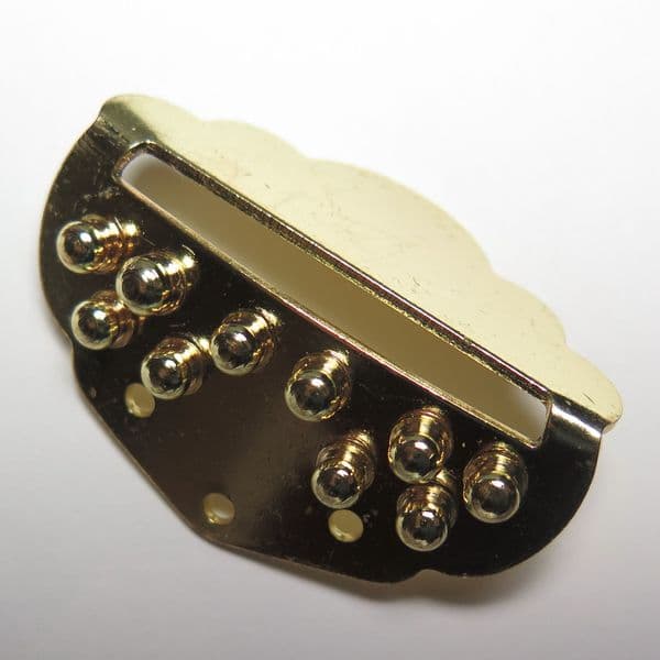 Ashbury Cittern 10 String Tailpiece-Gold coloured, 3 screws fixing| Brown Dog Banjos