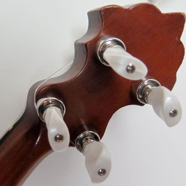 S S Stewart 5 String Banjo-Circa 1890-91|Brown Dog Banjos.