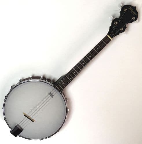 Tonewood Irish Tenor Banjo-17 fret