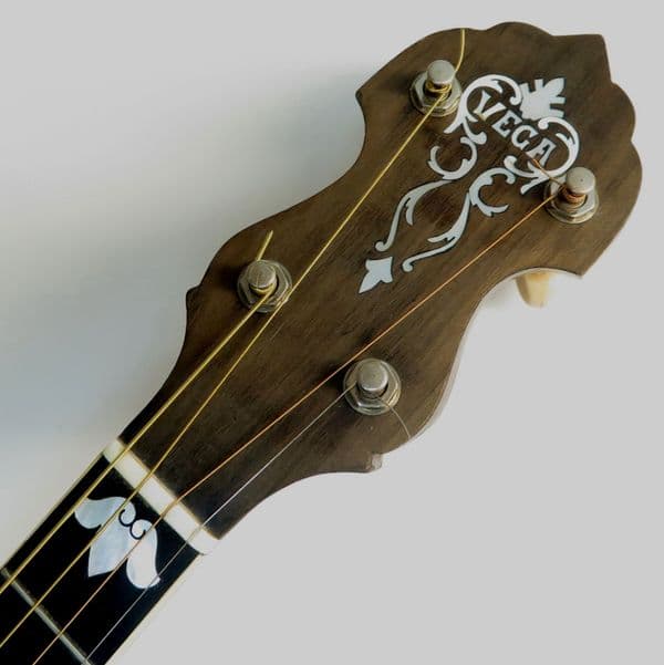 Vega Vegaphone Banjo-Irish tenor tuning|Brown Dog Banjos .